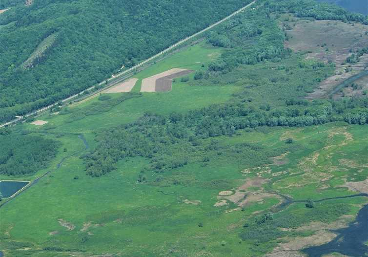 Arial view of wetland.