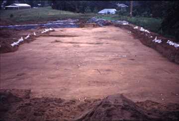 The site prior to excavation