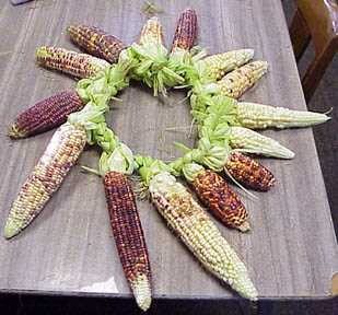 Circle Braid of Corn 