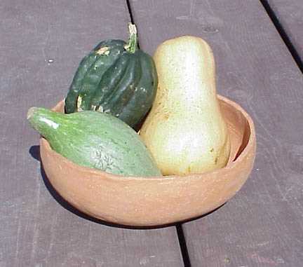 Sibley, Table Queen, and Butternut Squashes