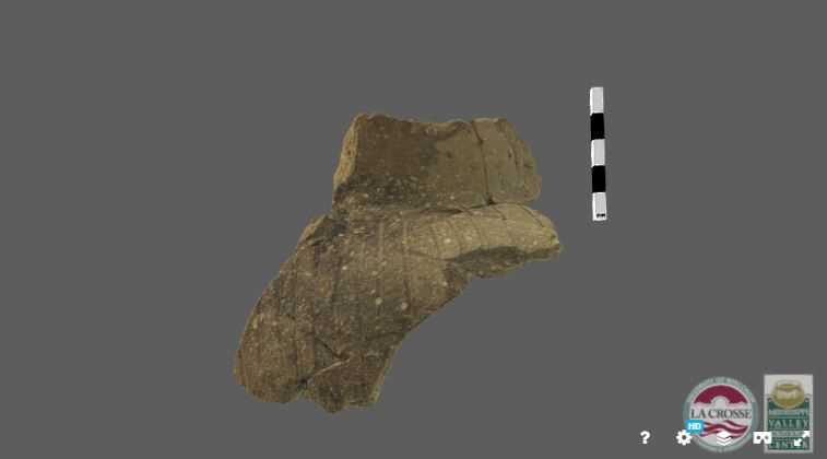 Pot sherd 