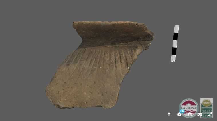 Pot sherd 