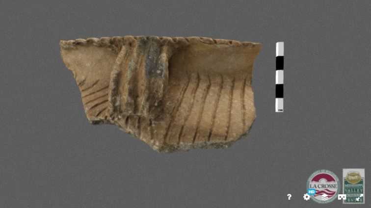 Pot sherd 