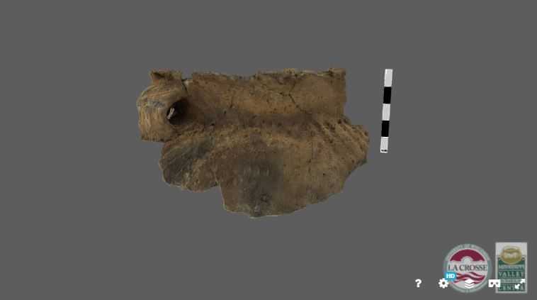 Pot sherd 