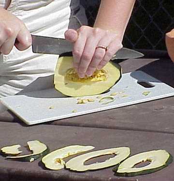 The Table Queen squash was processed by cutting from the flower end to the vine end. The rind was left on. This techniques was employed by the Hidatsa (Wilson, Gilbert 1987).