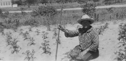 Ruby Lincoln in the garden with digging stick