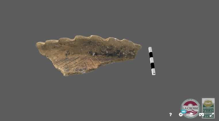 Pot sherd 