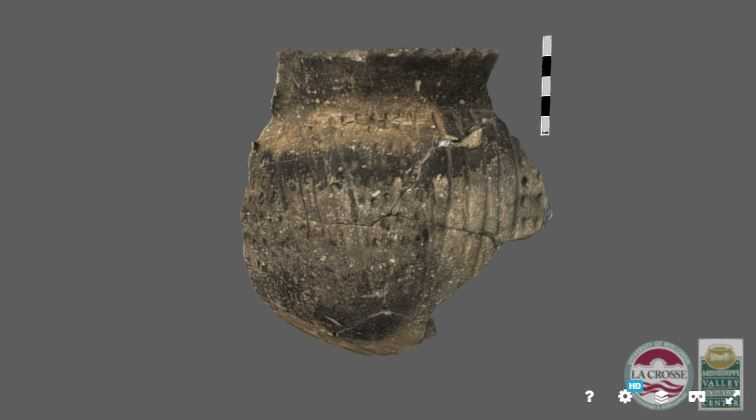 Pot sherd 