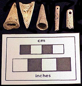 Bones have been made into arrow points, needles, and other tools.