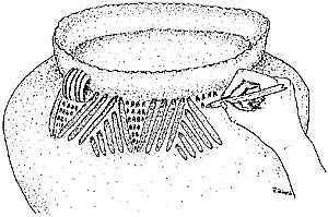 Drawing - decorating a pot 