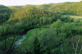 Bad Axe River Valley