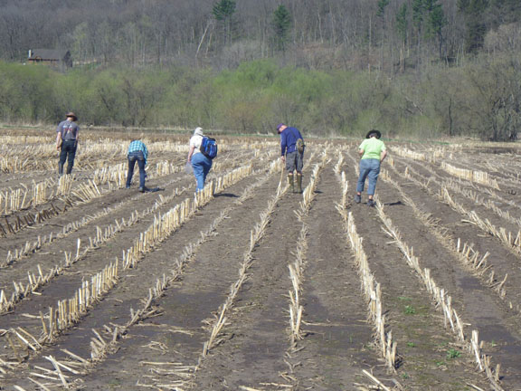 Field Survey