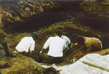 1920’s Excavating