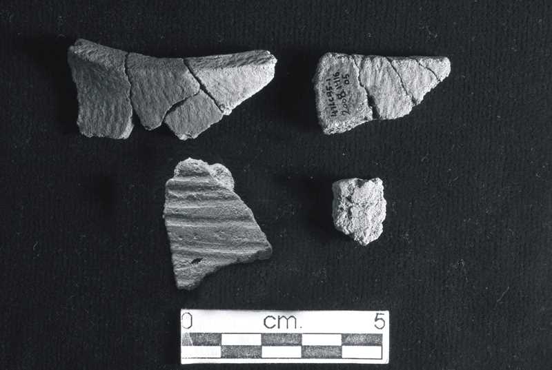 Woodland pot sherds 