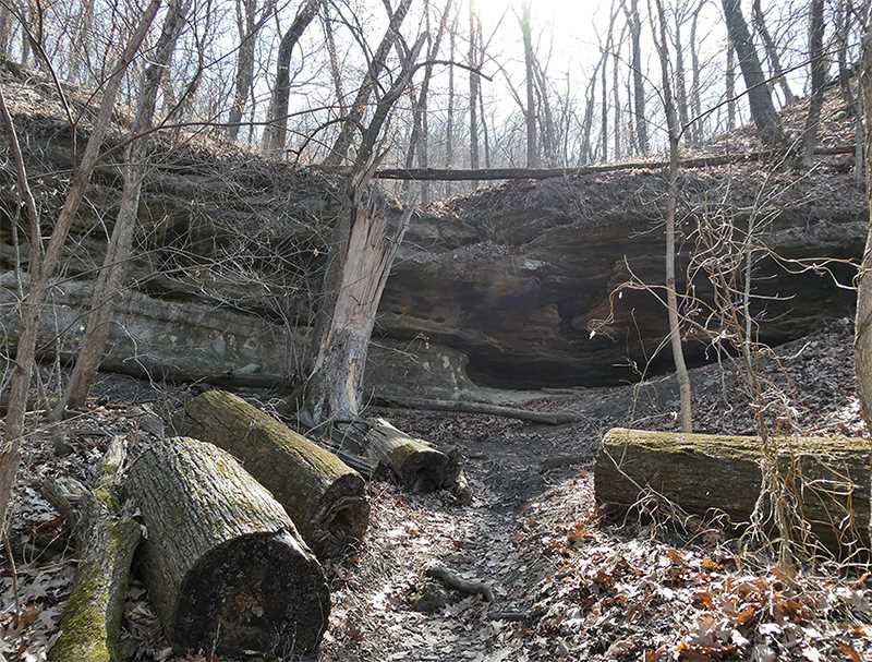 Black Walnut Rockshelter 