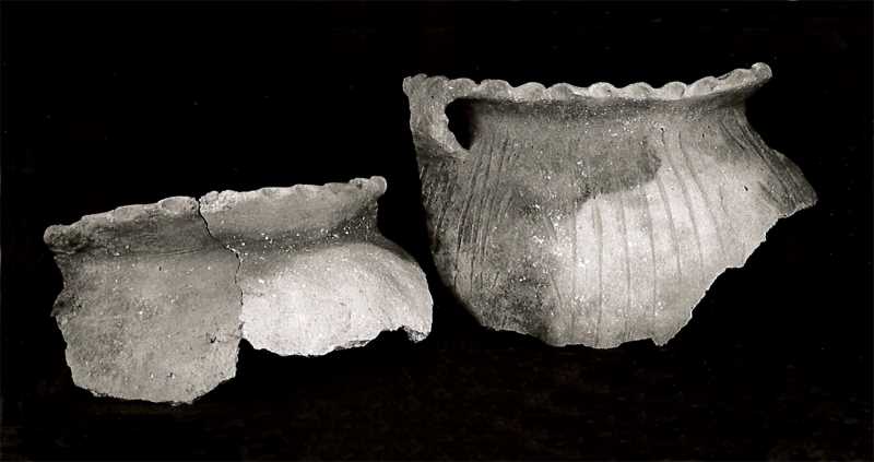 Oneota Pot Sherds, Burned 