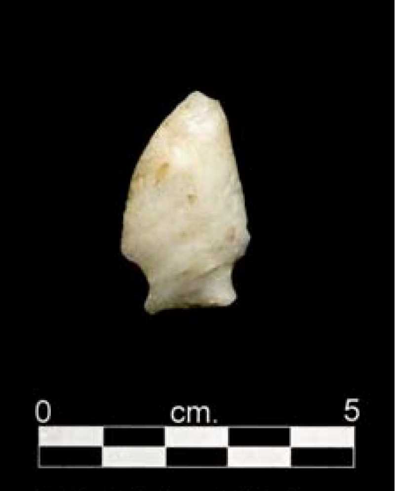 Projectile Point 