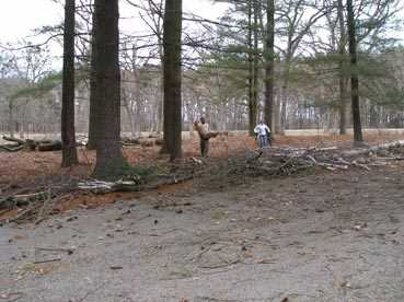 Cleaning Mounds 