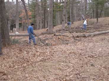 Cleaning Mounds 