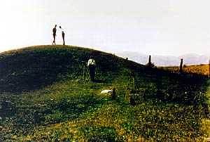 Nicholls Mound 