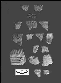 Pot sherds