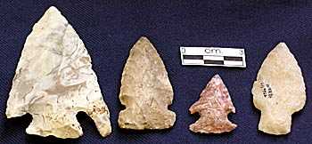 Different point styles mark different times within the Archaic tradition. The Archaic points in the photo extend from the oldest at the left to youngest at the right.