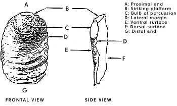 Drawing of a flake 