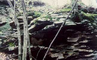 Bedrock outcropping found at Silver Mound