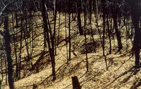 Prehistoric quarry pits (depressions in ground) at Silver Mound