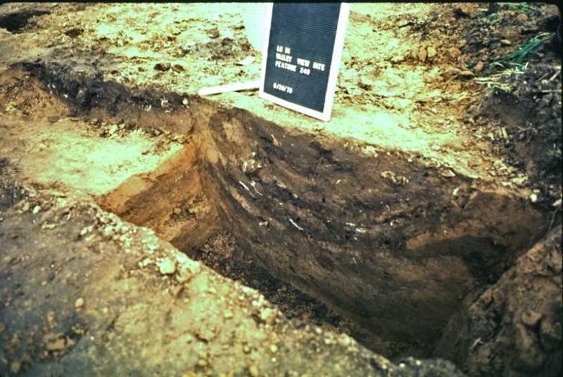 Feature 249 was one of the garbage-filled pits along the inside of the palisade.