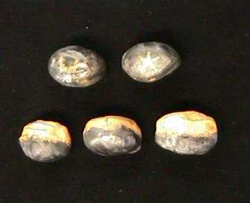 Replicas of plum stone game pieces