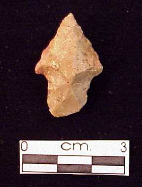 Projectile point 