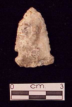 Projectile point 