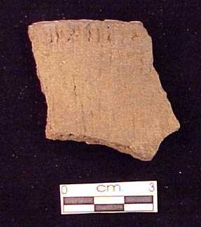 Pot sherd 