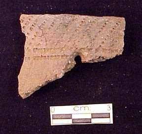 Pot sherd 