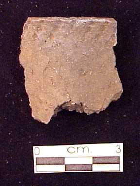 Pot sherd 