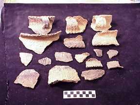 Pottery recovered from Feature 239 B