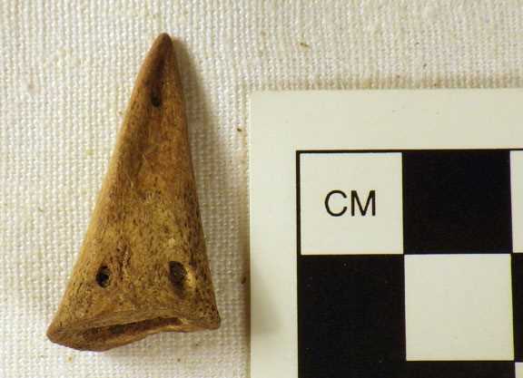 This tiny projectile point was made from a deer’s 3rd phalanx—the small bone inside the hoof.