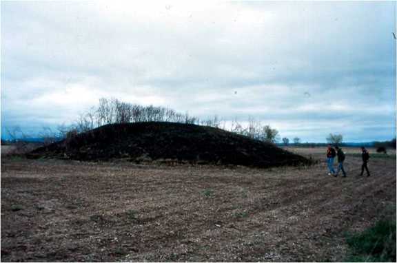 Nicholls Mound 