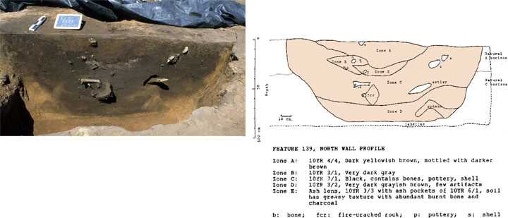 Profile and map 