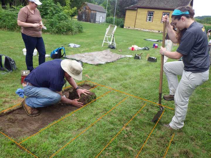 Sod Removal 