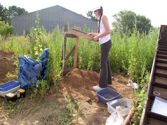 Excavation with cat in background 