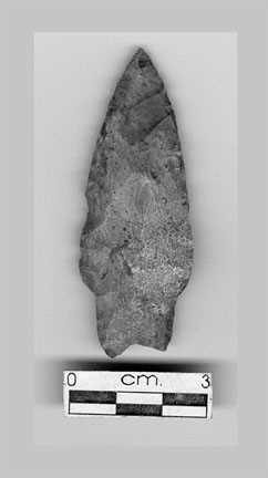 Projectile point 