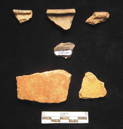 Mississippian Sherds 