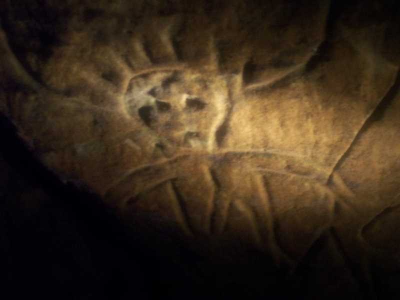 Petroglyph - human 