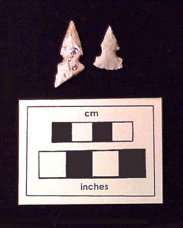 Two projectile points 