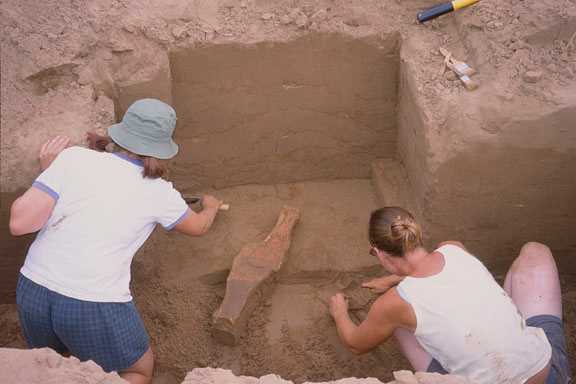 Excavating scapula hoes 