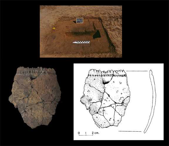 Excavation Woodland pottery 