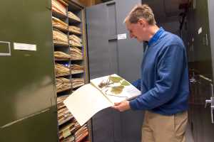 UWL Herbarium