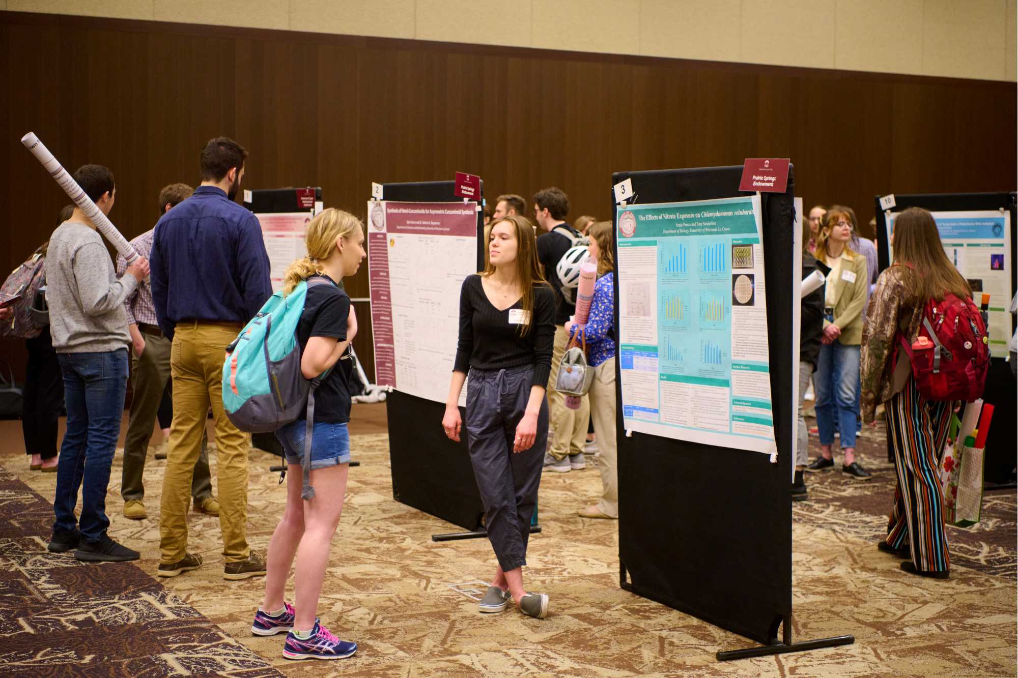 Slideshow image for Image 1